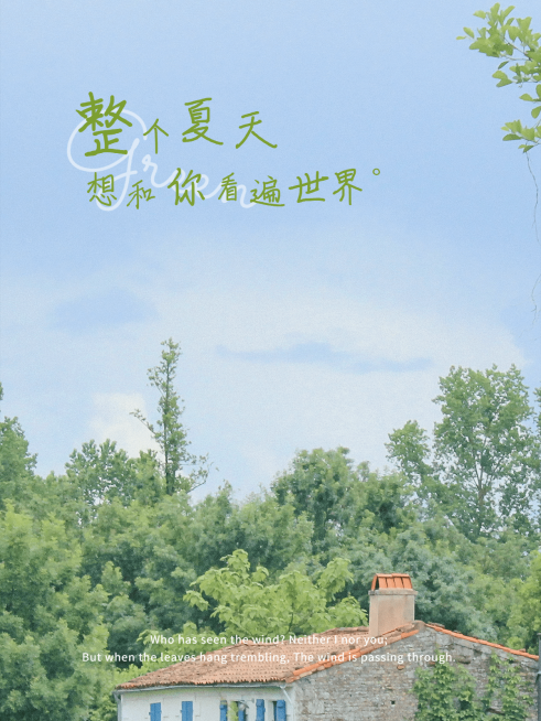 夏天风光晒照生活分享文艺风plog模板预览效果