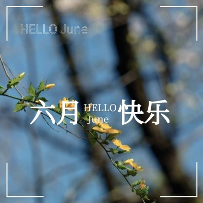 月初问候户外风景晒照节日简约风plog模板