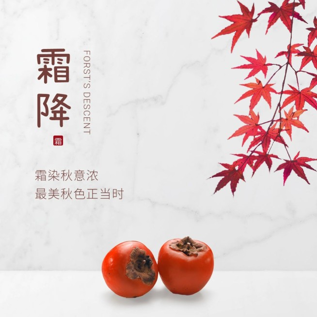霜降节气祝福问候柿子枫叶方形海报预览效果