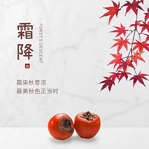 霜降节气祝福问候柿子枫叶方形海报
