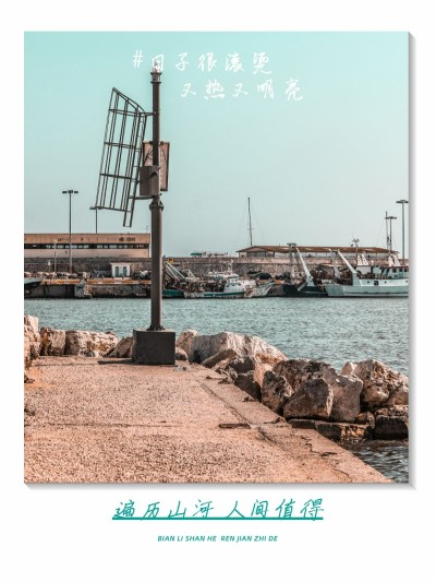 杂志海报风景胶片风plog模板