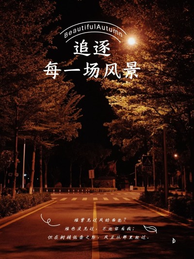 风景秋天马路生活分享记录模板