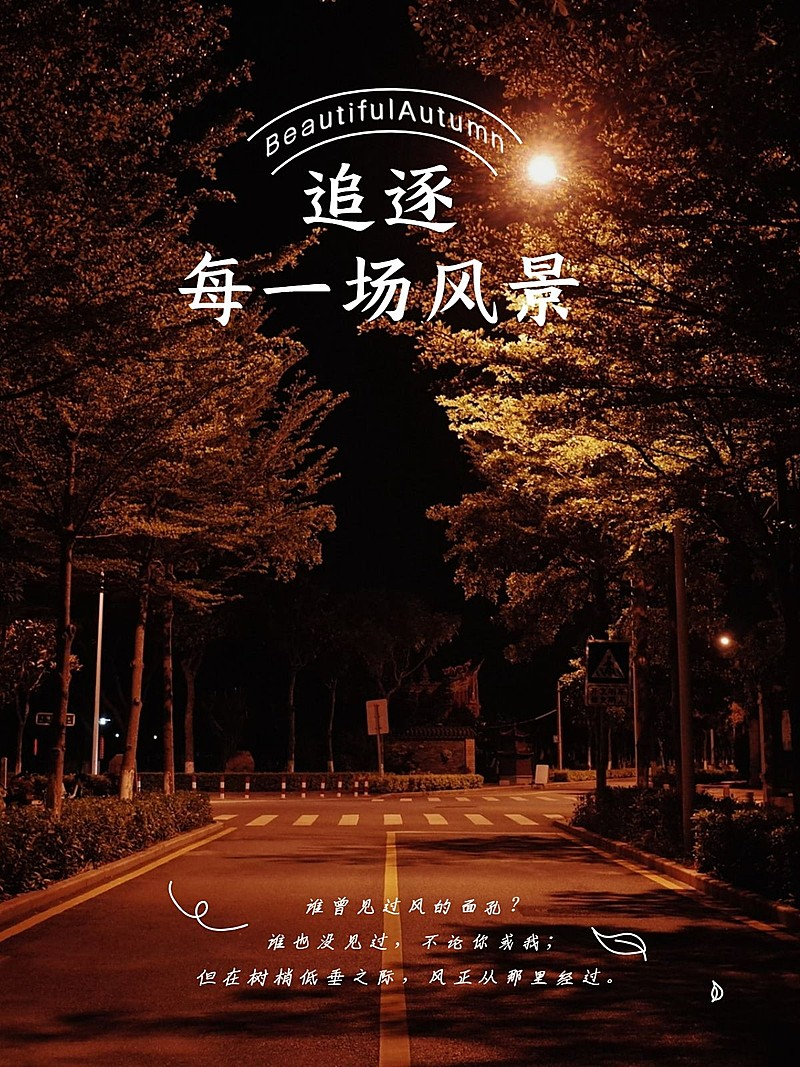 风景秋天马路生活分享记录模板