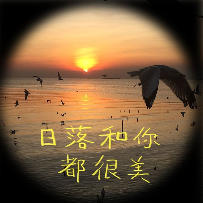 鱼眼镜头日落手写字玩法简约风plog模板预览效果