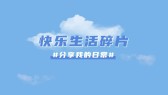 模板缩略图