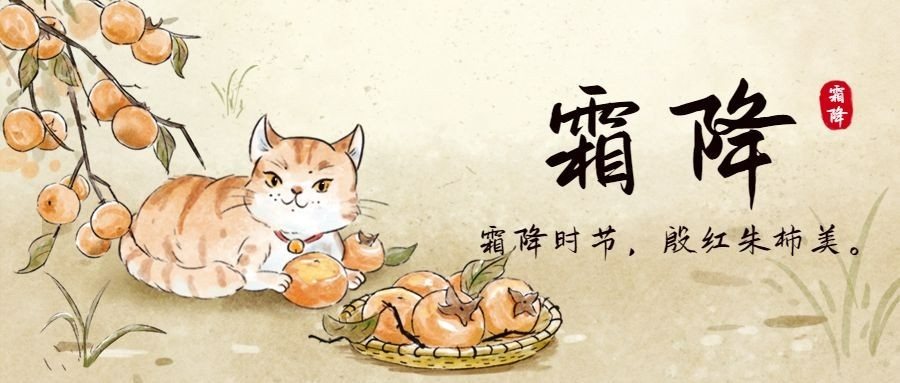 霜降节气祝福吃柿子手绘插画公众号首图
