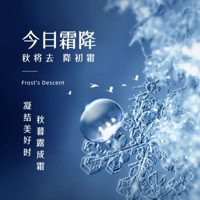 霜降节气祝福冰霜实景合成方形海报