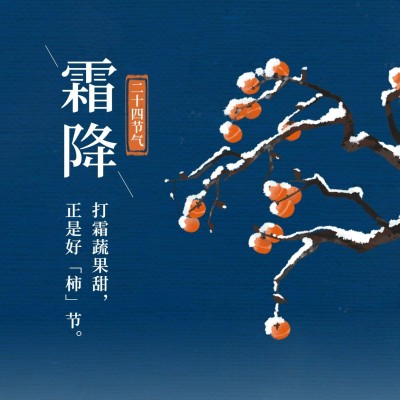 霜降节气祝福问候柿子插画方形海报