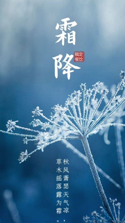 霜降问候手机海报