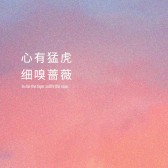 模板缩略图
