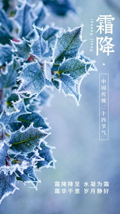 霜降节气节日唯美风手机海报