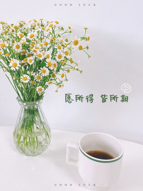 周末晒物生活分享简约风plog模板预览效果