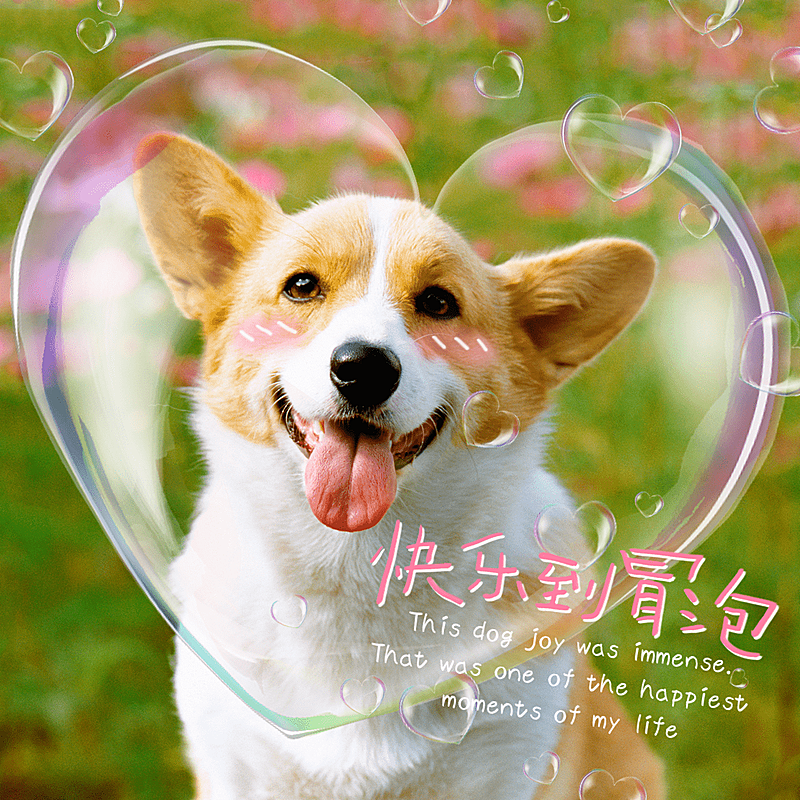 泡泡气泡宠物爱心简约风plog模板