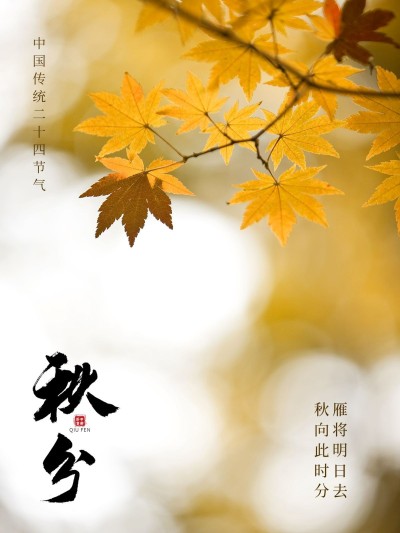 秋天节气秋分简约风plog模板