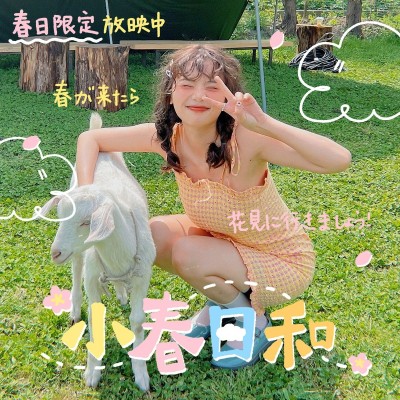 春天自拍自拍晒照plog模板
