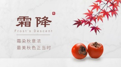 霜降节气祝福问候柿子枫叶实景合成横版海报