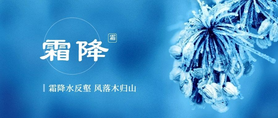 霜降节气祝福冰霜植物实景公众号首图