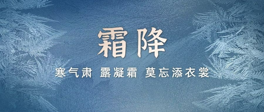 霜降节气祝福商务文艺冰霜公众号首图