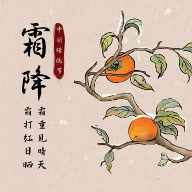 霜降节气祝福柿子手绘方形海报
