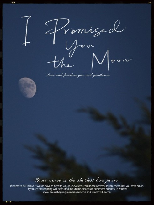 夜景风景照文艺风plog模板预览效果