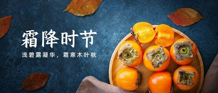 霜降节气祝福柿子合成实景首图