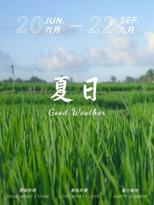 夏天风景晒照杂志风plog模板预览效果