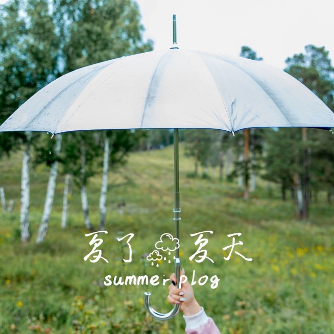 夏天风景晒照简约风plog模板预览效果