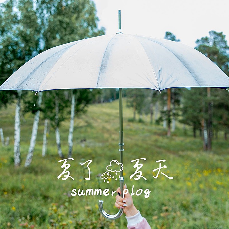 夏天风景晒照简约风plog模板