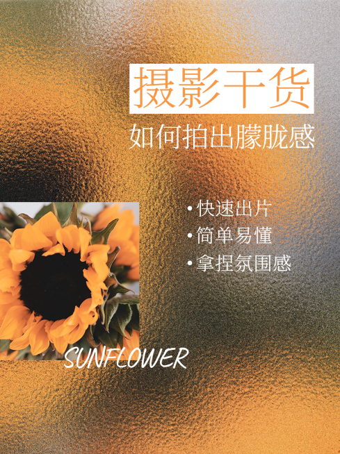 简约实景轻设计毛玻璃摄影攻略小红书配图预览效果