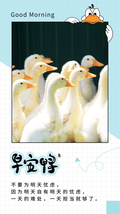 早安鸭早安问候创意插画清新文艺