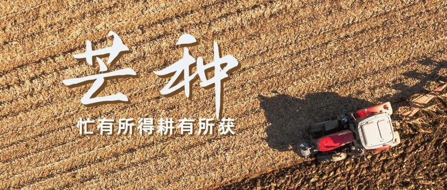 芒种节气祝福问候丰收公众号首图