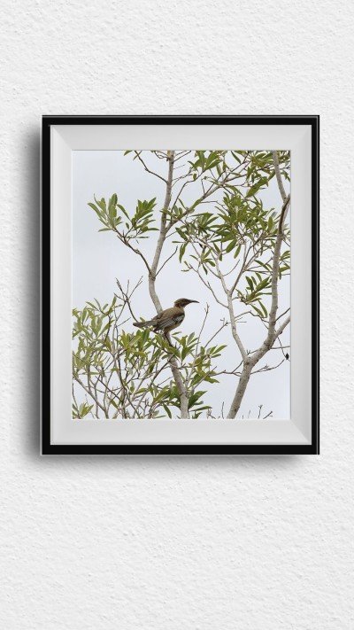 Bird on Tree Instagram Story Image