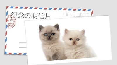 纪念明信片横版海报