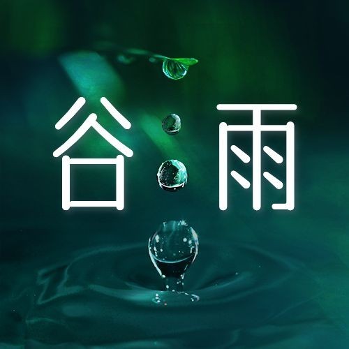 谷雨节气祝福合成公众号次图预览效果