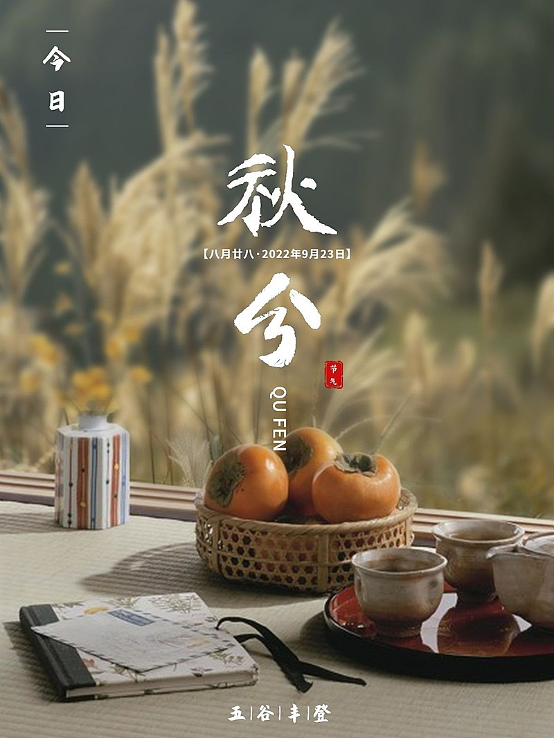 太阳秋分节气生活晒照实景plog