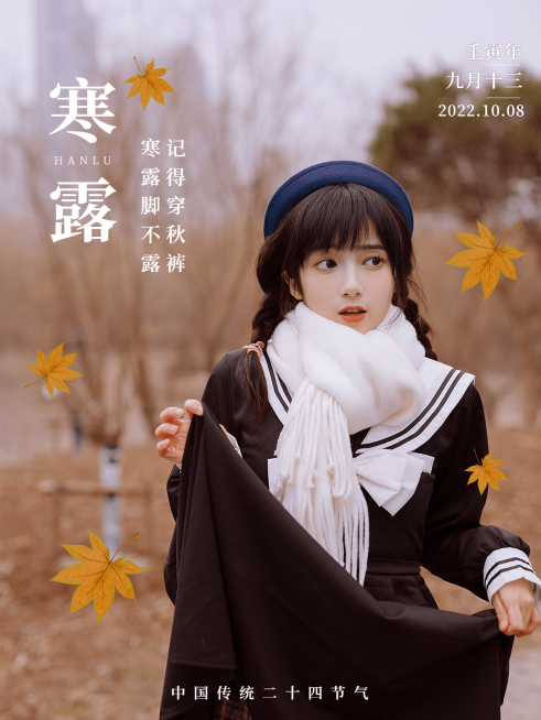 通用寒露节气自拍晒照复古plog预览效果