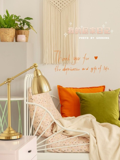 居家晒物晒照清新简约风plog模板预览效果