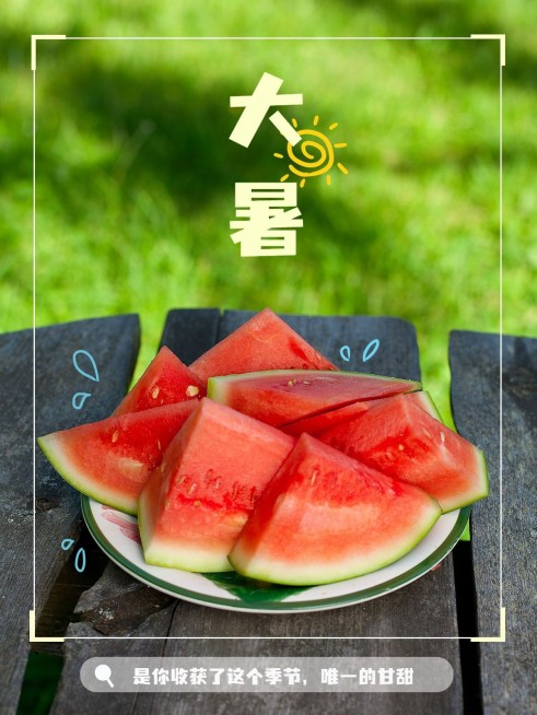 夏日节气大暑界面风plog模板预览效果