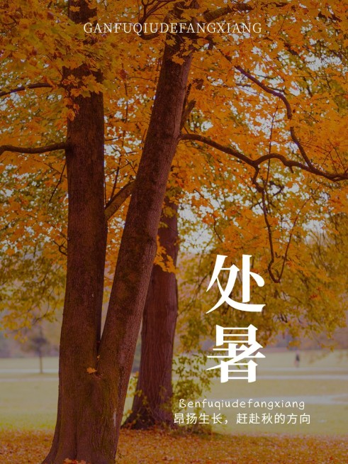 秋日节气处暑简约风plog模板预览效果