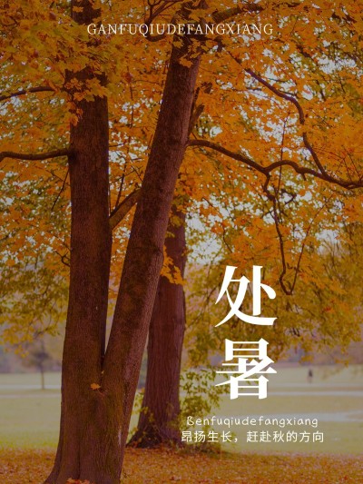 秋日节气处暑简约风plog模板
