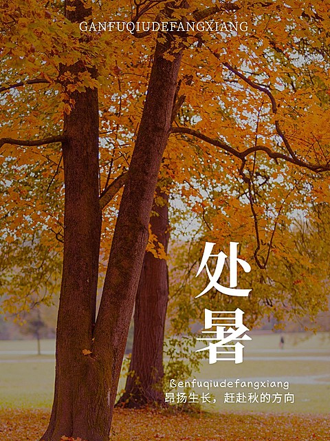 秋日节气处暑简约风plog模板