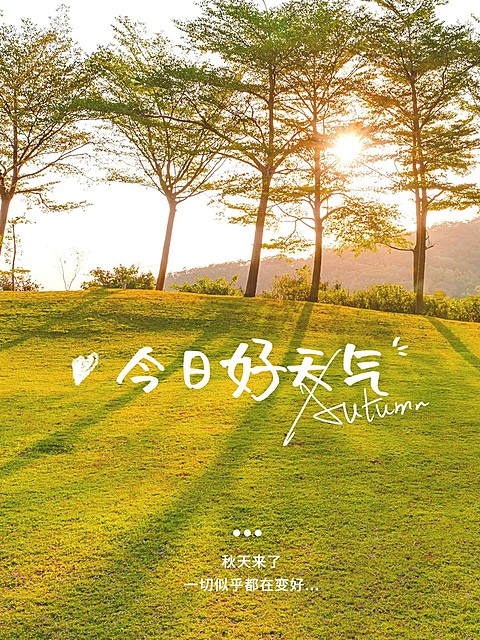 秋天风景晒照plog