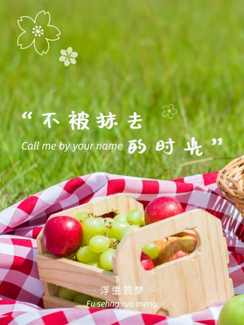 风景野餐旅游记录简约风plog模板预览效果