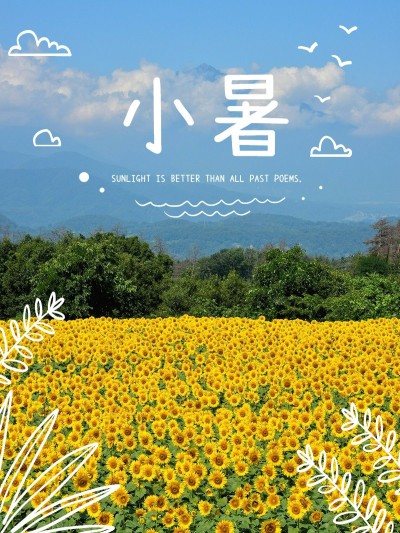 小暑晒风景文艺风plog模板