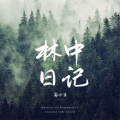 模板缩略图