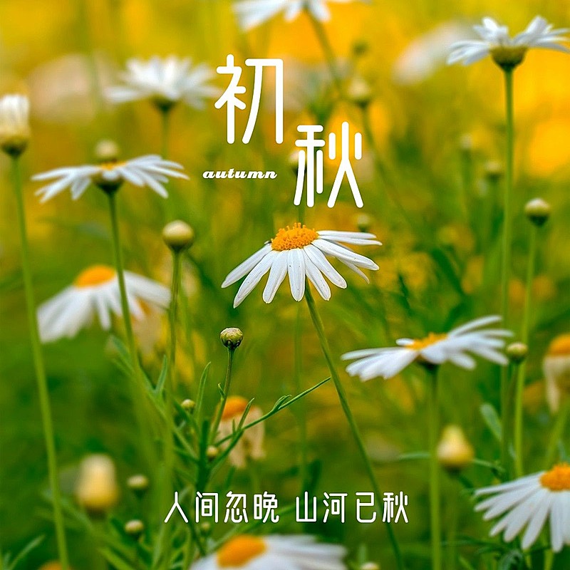 秋天风景晒照plog