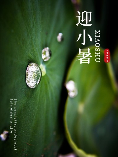 小暑晒风景通用plog