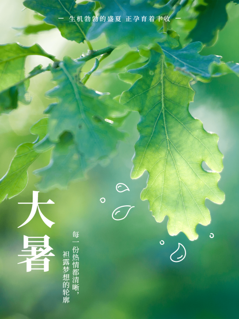 大暑节气清新简约风plog模板预览效果