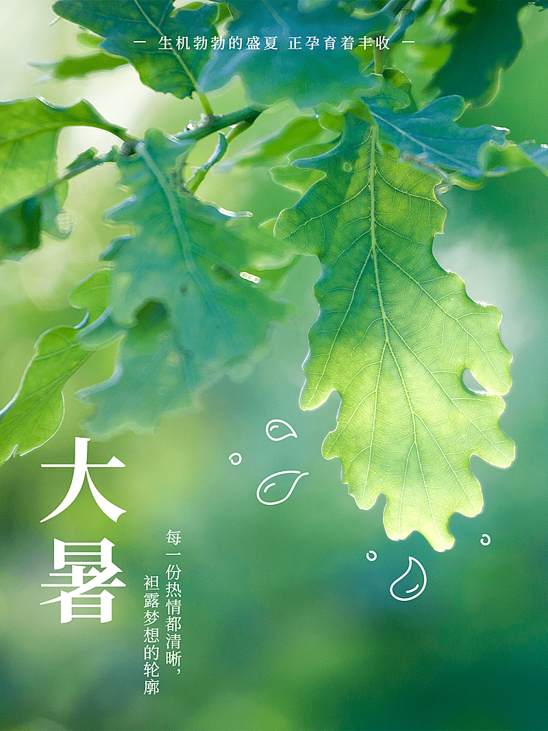 大暑节气清新简约风plog模板