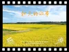 潮流感节气祝福视频模板ip海报